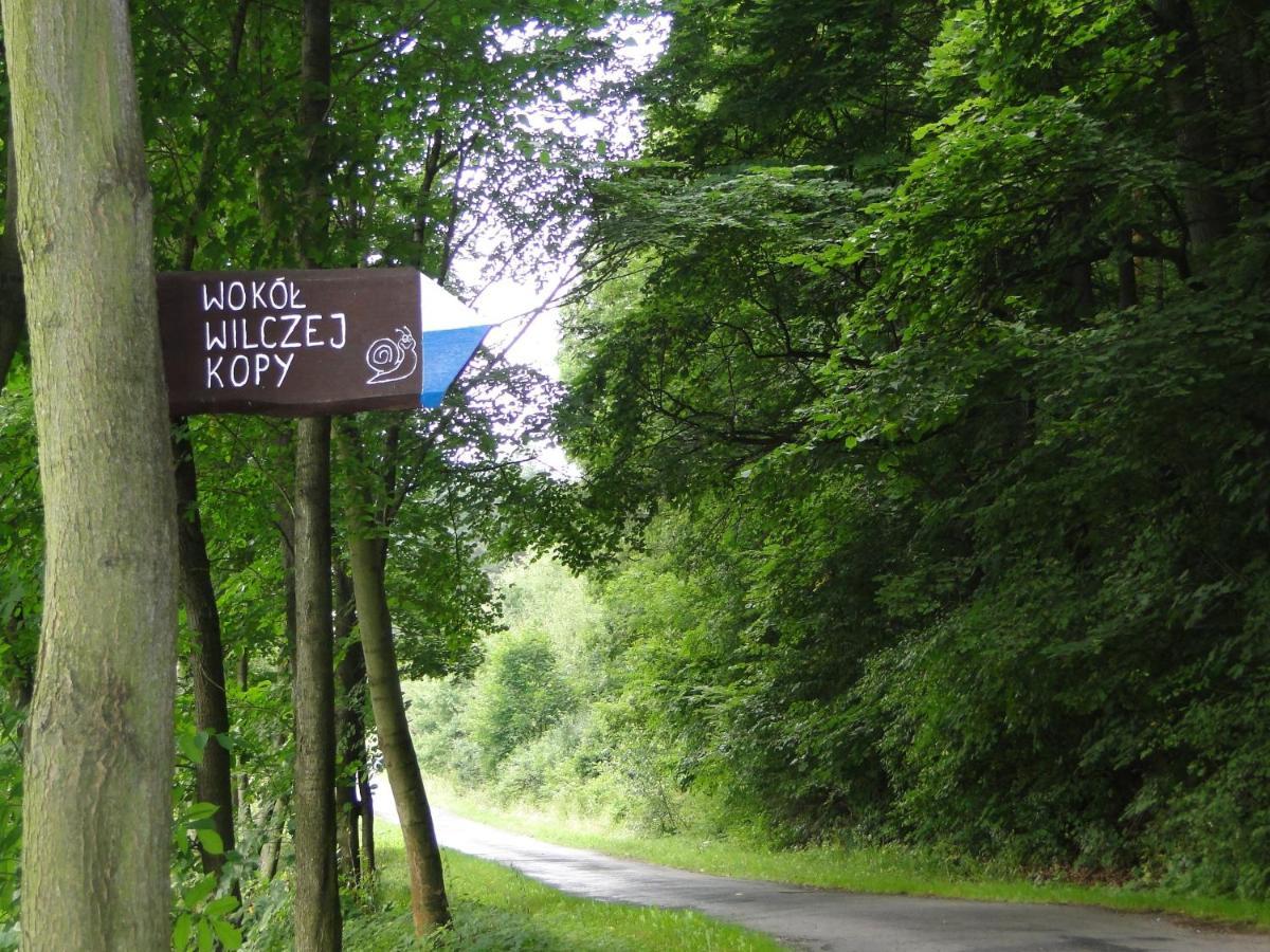 Romanowka Oldrzychowice Klodzkie Bagian luar foto